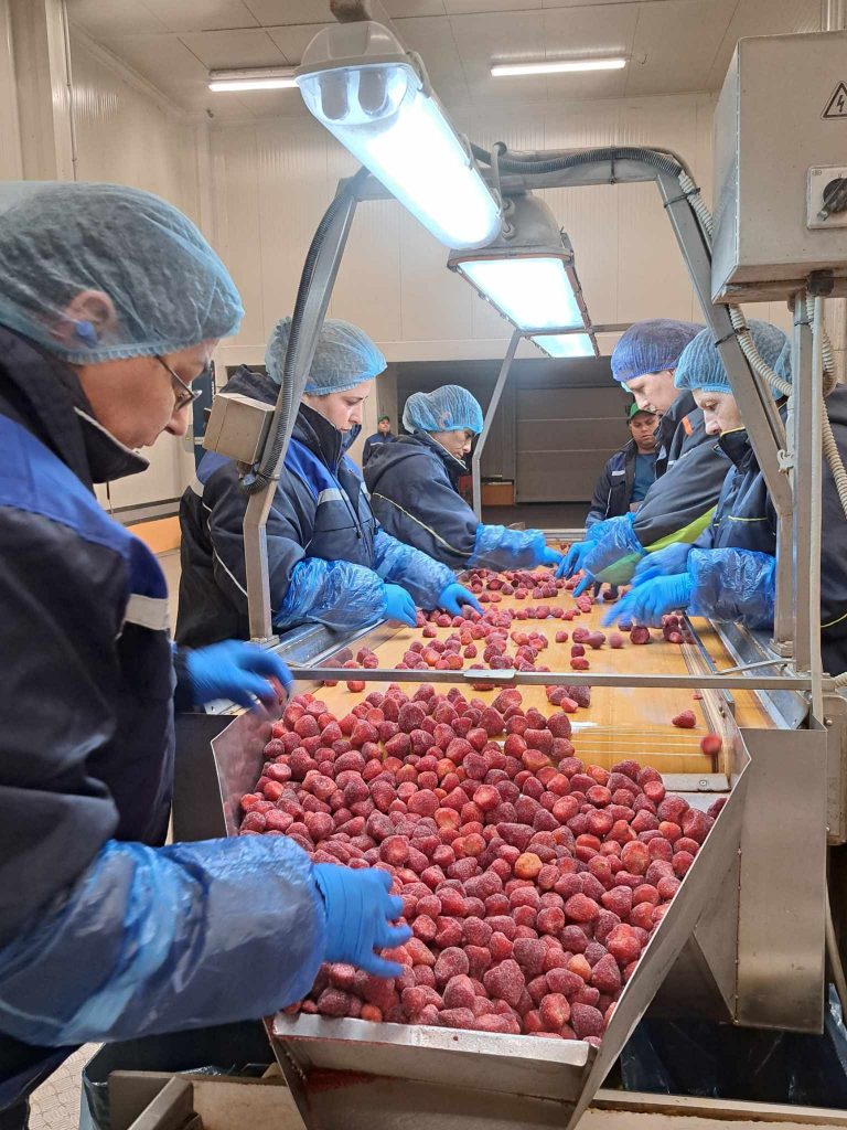 483312887_23967990959457087_2773547818064778931_n